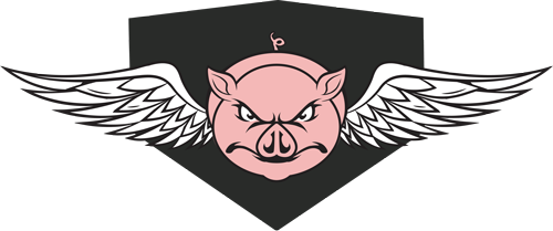 pig_500